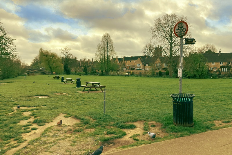 Stamford meadows